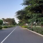 uppal-g99-plots-3