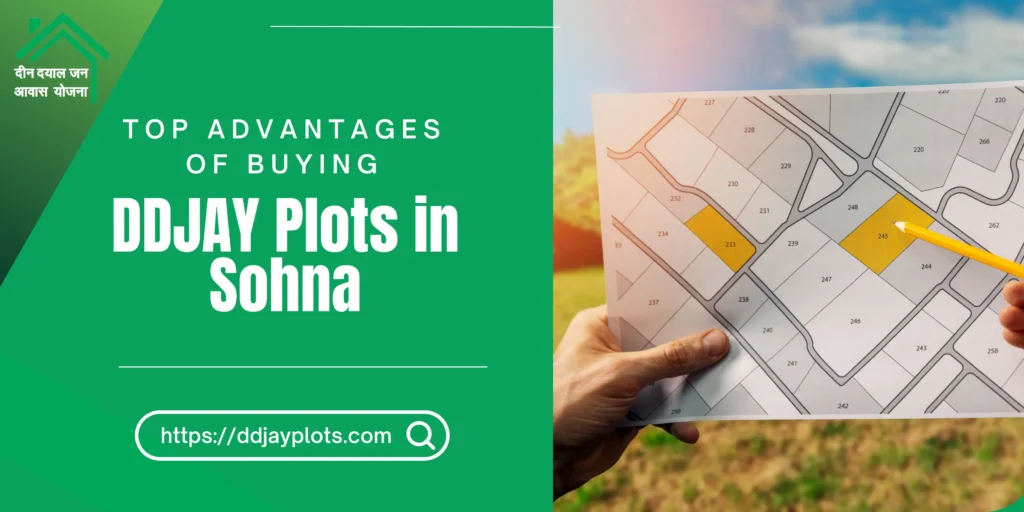 DDJAY Plots in Sohna