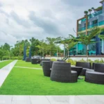 GLF Palm Meadows