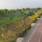 aranya-actual-images-big12