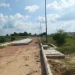 Zara Flora plot In Sohna