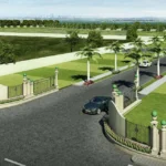Pareena DDJAY Plots