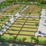 Pareena DDJAY Plots