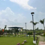 SARAS CITY