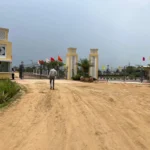 SARAS CITY