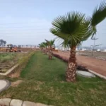 SOUTH CITY-1