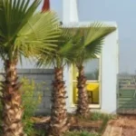 SOUTH CITY-1