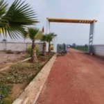 SKYMARX KHARKHODA-One
