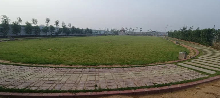 Mayur City Plots